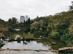 -云溪植物园