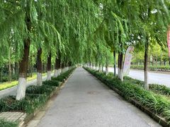 -上海长兴岛郊野公园