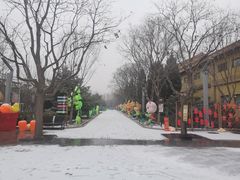 -南宫五洲植物乐园