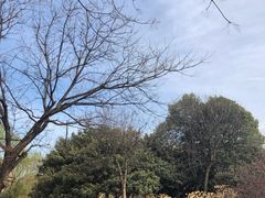 -洛阳市隋唐城遗址植物园