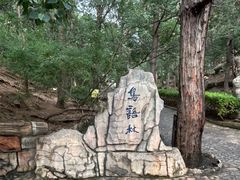 -燕塞湖鸟语林景区