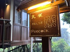 -三亚亚龙湾人间天堂鸟巢度假村