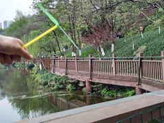 -重庆彩云湖湿地公园