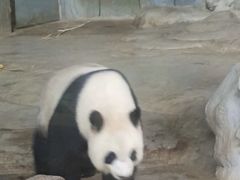 -海南热带野生动植物园