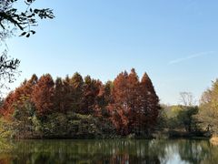 -梁鸿国家湿地公园