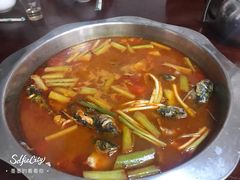 -苗家恒灵酸汤鱼-跳水牛肉连锁店(凯里总店)