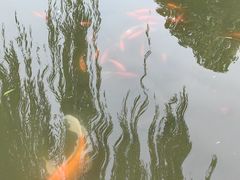 -三里河公园