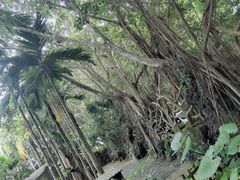 -海口火山口国家地质公园