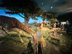 -国家自然博物馆