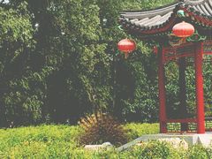 -北京麋鹿生态实验中心