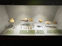-河南自然博物馆