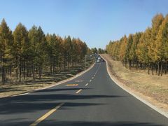 -塞罕坝国家级自然保护区