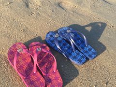 -黄金海岸环岛路