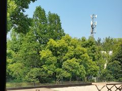 -J Create城市露营咖啡·简餐·宠物(上海动物园店)