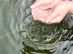 -山湖温泉