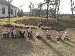 -菊园百果园