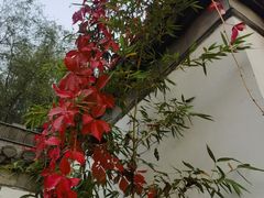 -北京世界公园