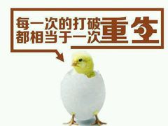 -关东文化园