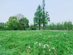 -良渚古城遗址公园