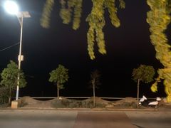 -湖景渔湾