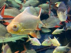 -太平洋海底世界