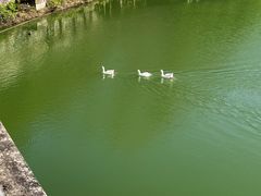 -珠海圆明新园
