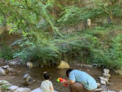 -十渡东湖港风景区