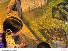 -沈阳海洋探索中心