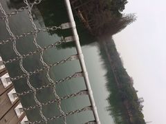 落雁岛-东湖落雁景区