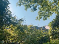 -杭州雅谷泉山庄酒店-餐厅