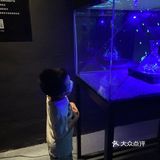 光与影的艺术，探索平行宇宙的奥秘