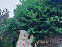 -青檀寺景区