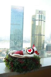 -巍阁高端月子会所