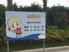 -演武大桥观景平台