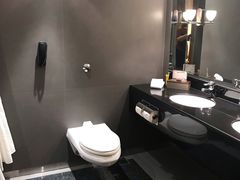 -新加坡乌节希尔顿酒店 (SG Clean)