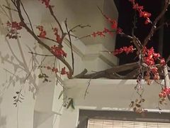 -春天来了(印象新天地店)