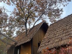 -宁波儿童公园(鄞州区)