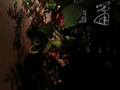 -华夏良子·足道SPA艾灸(王府井店)