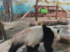-南宁市动物园