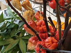 -HAPPEN(江川东路店)