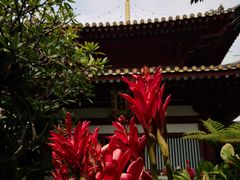 -新加坡佛牙寺龙华院