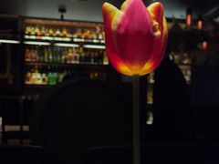 -萃坊 StillFun(玉林店)