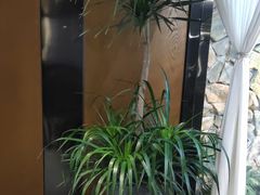-陈熹公民族美食文化餐厅(中华广场店)