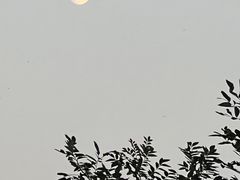 -南翠屏公园