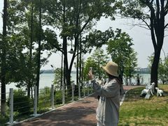 -金鸡湖桃花岛