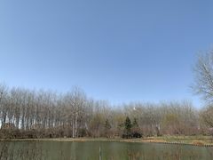 -仁和公园(顺义区)