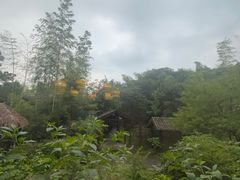-木子山庄·安徽省老字号·中国炖锅宴