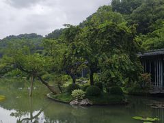 -云溪植物园