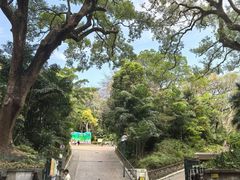 -九龙公园