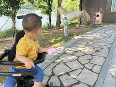 -宁波九龙湖开元度假村